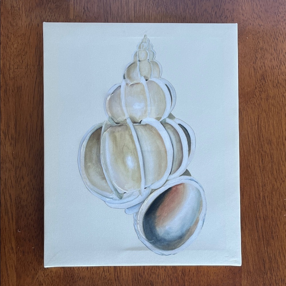 Textured Canvas ad Seashell 8x10 Artwork